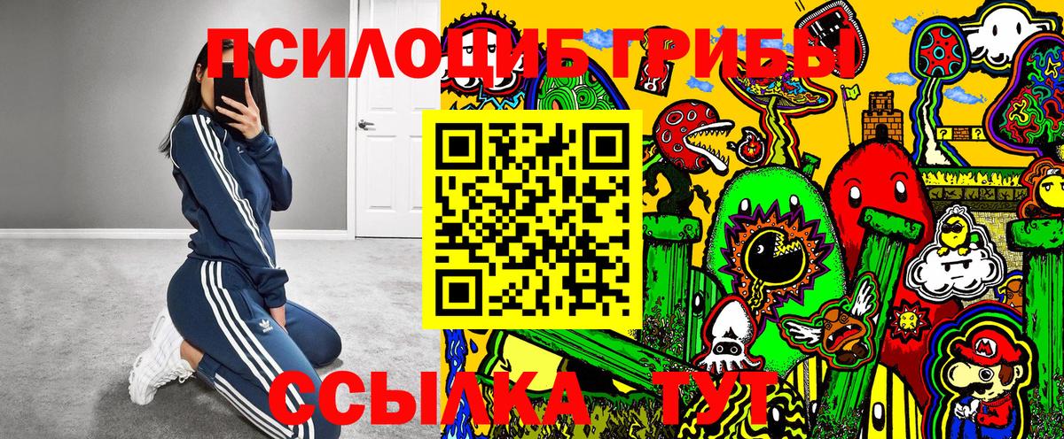 сколько стоит  Галлюциногенные грибы Magic Shrooms  Вход с VPN  Гулькевичи 